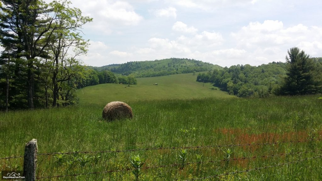 Doughton Pasture