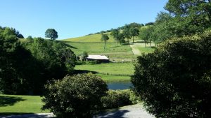 View from Our Cabin this Evening