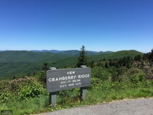 Cranberry Ridge Overlook