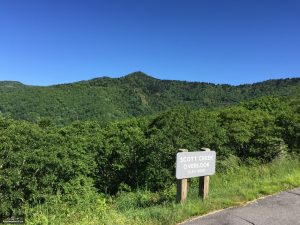 Scott Creek Overlook