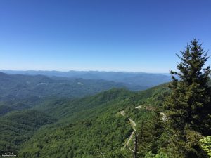 Top of Waterrock Knob